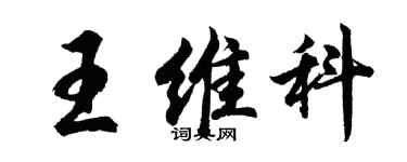 胡問遂王維科行書個性簽名怎么寫