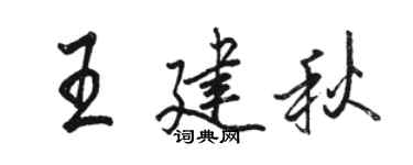 駱恆光王建秋行書個性簽名怎么寫