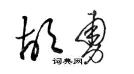 駱恆光胡勇草書個性簽名怎么寫