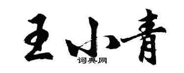 胡問遂王小青行書個性簽名怎么寫