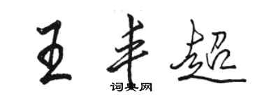 駱恆光王豐超行書個性簽名怎么寫