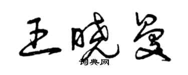 曾慶福王曉曼草書個性簽名怎么寫