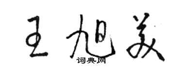 駱恆光王旭美草書個性簽名怎么寫