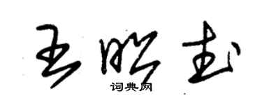 朱錫榮王昭武草書個性簽名怎么寫