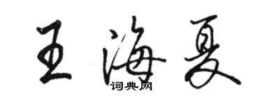 駱恆光王海夏行書個性簽名怎么寫