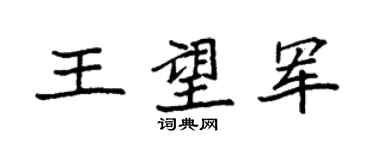 袁強王望軍楷書個性簽名怎么寫