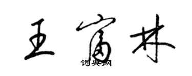 梁錦英王富林草書個性簽名怎么寫