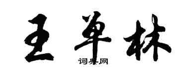 胡問遂王單林行書個性簽名怎么寫