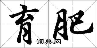 胡問遂育肥行書怎么寫