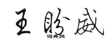 駱恆光王盼威行書個性簽名怎么寫