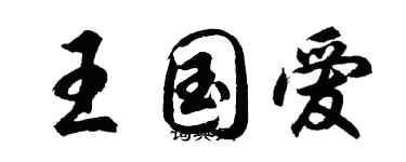 胡問遂王國愛行書個性簽名怎么寫