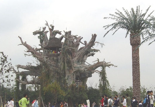 食人樹的真實記載:馬達加斯加島的“鳳梨”樹