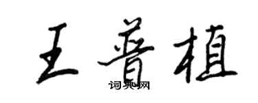 王正良王普植行書個性簽名怎么寫