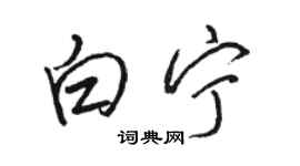 駱恆光白寧行書個性簽名怎么寫