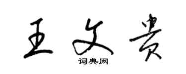 梁錦英王文貴草書個性簽名怎么寫