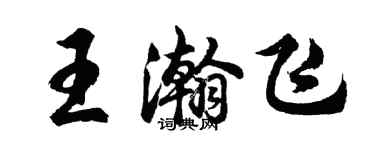 胡問遂王瀚飛行書個性簽名怎么寫