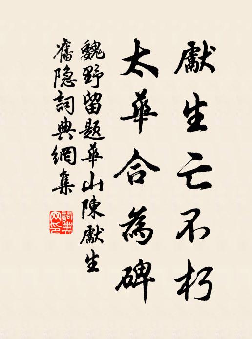 魏野先生亡不朽,太華合為碑書法作品欣賞