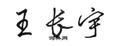 駱恆光王長宇行書個性簽名怎么寫