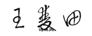駱恆光王雙田草書個性簽名怎么寫