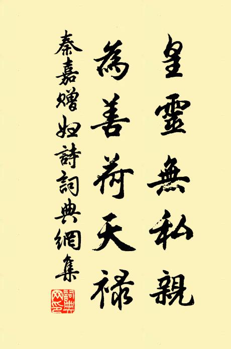 秦嘉皇靈無私親,為善荷天祿書法作品欣賞