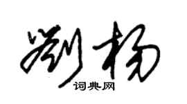 朱錫榮劉楊草書個性簽名怎么寫