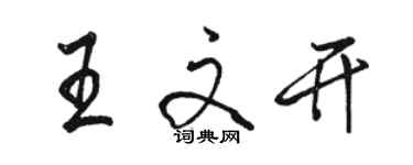 駱恆光王文開行書個性簽名怎么寫