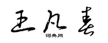 曾慶福王凡春草書個性簽名怎么寫