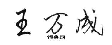 駱恆光王萬成行書個性簽名怎么寫