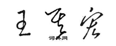 駱恆光王其宏草書個性簽名怎么寫