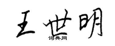 王正良王世明行書個性簽名怎么寫