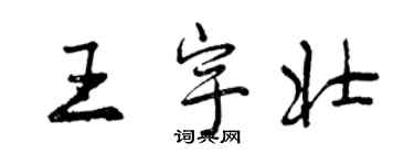 曾慶福王宇壯行書個性簽名怎么寫