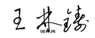 駱恆光王林鑄草書個性簽名怎么寫