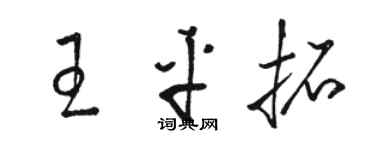 駱恆光王平拓草書個性簽名怎么寫