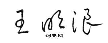 駱恆光王明浪草書個性簽名怎么寫