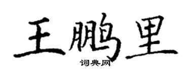 丁謙王鵬里楷書個性簽名怎么寫