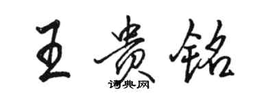 駱恆光王貴銘行書個性簽名怎么寫