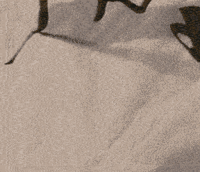 啟功先生書法動態運筆圖