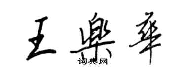 王正良王樂華行書個性簽名怎么寫