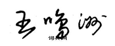 朱錫榮王鳴洲草書個性簽名怎么寫