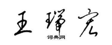 梁錦英王瑞宏草書個性簽名怎么寫