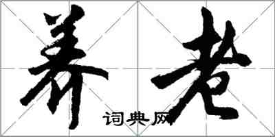 胡問遂養老行書怎么寫