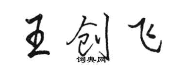 駱恆光王創飛行書個性簽名怎么寫