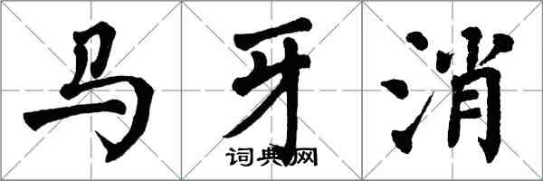 翁闓運馬牙消楷書怎么寫
