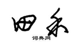 朱錫榮田禾草書個性簽名怎么寫