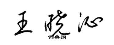 梁錦英王曉沁草書個性簽名怎么寫