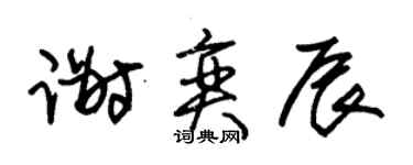 朱錫榮謝奕辰草書個性簽名怎么寫