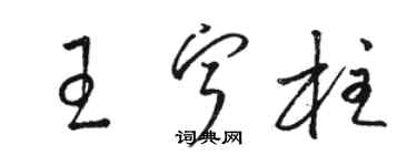 駱恆光王寧柱草書個性簽名怎么寫