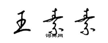 梁錦英王素素草書個性簽名怎么寫