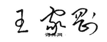 駱恆光王家剛草書個性簽名怎么寫