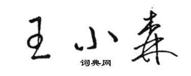 駱恆光王小森草書個性簽名怎么寫